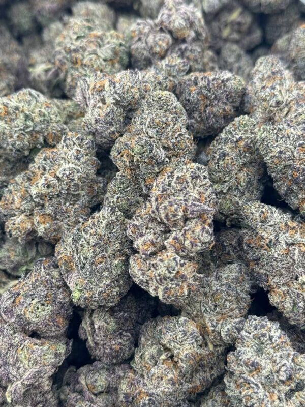 #3392 Purple Cream Pie Licensed indoor