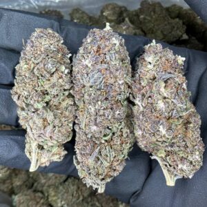 Grand Daddy Purple💜 NOSE 8/10