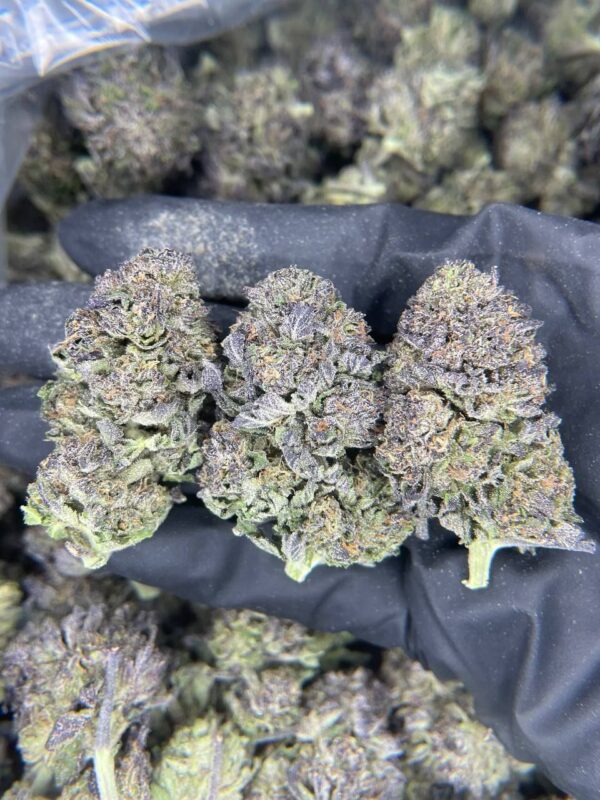 Purple ICC