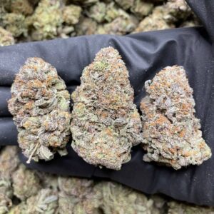Purple Plat Reserve ⛽️ NOSE 10/10