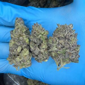 Purple Gas ⛽️ NOSE 9/10