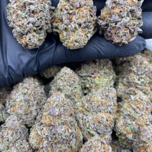 PURPLE GRAPELATTO