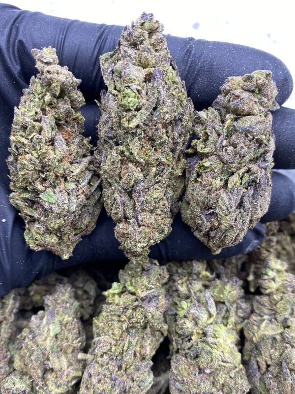 PURPLE ICE POP