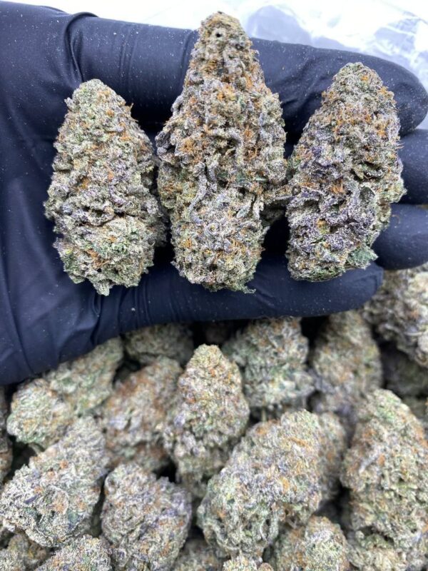 PURPLE CEREAL MILK