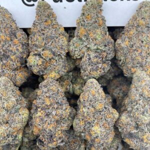 Purple Milk 🥛