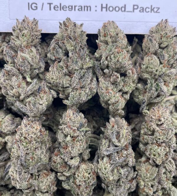 Purple Skunk
